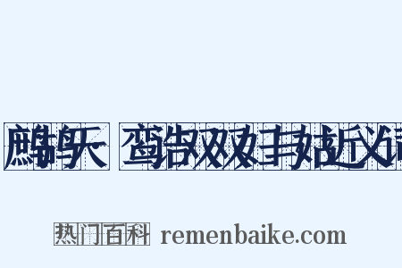 鹧鸪天·鸾诰双双妇与姑近义词是什么意思的图片